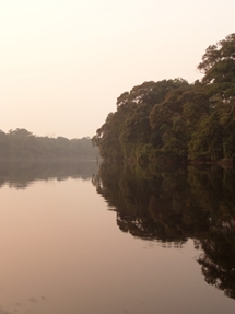 River view (photo: Wannes Hubau, Salongo National Park, 2014)